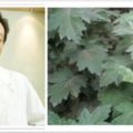 沒想到小小野草就能治腰椎間盤突出？打敗專家，40萬人已收藏！