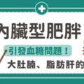 內臟型肥胖：引發血糖問題！大肚腩、脂肪肝的推手