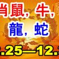 生肖鼠、牛、虎、兔、龍、蛇下周（12.25—12.31）運勢分析！接囍接囍