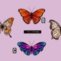 心理測試:選一隻你喜歡的蝴蝶，測看你性格的特點