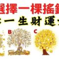 ★好文分享★心理測試：選擇一棵搖錢樹，測你一生財運如何