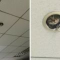 網友說他每天工作都被貓監視著，原來是辦公室裝了一個貓咪攝像頭