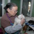 90多歲的她，最大的心願，是把價值千萬的院子留給貓……