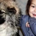 俄羅斯三歲女孩和愛犬失蹤，三周後小狗獨自咬著女孩的髮帶回來……