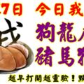 4月17日，今日我最旺！狗龍虎鼠豬馬猴蛇！【78888】越早打開越靈驗！點個贊吧！