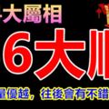 8月4大屬相66大順，生活質量優越，往後會有不錯的前程！