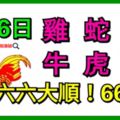 9月6日生肖運勢_雞、蛇、鼠大吉