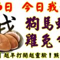 9月6日，今日我最旺！狗馬蛇龍雞兔牛虎！【77888】越早打開越靈驗！點個讚吧！