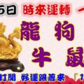 9月25日時來運轉一路發，龍狗猴牛鼠羊，88秒內打開好運跟著來『16888』