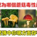 心理測試：你認為哪個蘑菇毒性最強，測在愛情中你哪方面存有問題