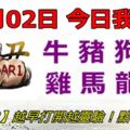 11月02日，今日我最旺！牛豬狗蛇雞馬龍猴！【99988】越早打開越靈驗！點個贊吧！