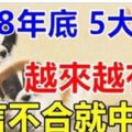 年底前這5大生肖財氣沖天