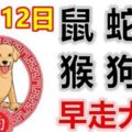 11月12日生肖運勢_鼠、蛇、龍大吉