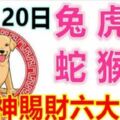 12月20日生肖運勢_兔、虎、馬大吉