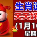 生肖運勢，天天好提示2019年（1月10日）