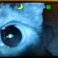 馬麻從嬰兒監視器看到「最溫暖畫面」　網融化：最強的24小時保護