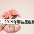 遇見真愛，2019年哪些星座桃花旺呢