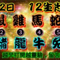 2019年2月12日，星期二農歷正月初八（己亥年丙寅月庚辰日），法定工作日。