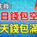 5大生肖：昨日錢包空空，今天錢包滿滿！明天開始就是【數錢】的命