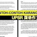 Contoh-contohKaranganUPSR[UPSR國語作文範例]