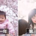 日本爸4年來都在櫻花樹下幫前世情人拍照　慢慢長大的畫面萌哭網友：最珍貴的寶物