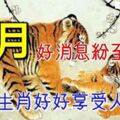 7月好消息紛至沓來，這四個生肖好好享受人生吧