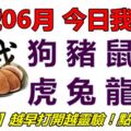 25號06月，今日我最旺！狗豬鼠牛虎兔龍蛇！【25688】越早打開越靈驗！點個讚吧！