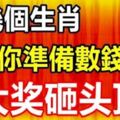 這幾個生肖，9月你準備數錢了大獎砸頭頂