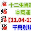 十二生肖運勢：本周運勢【11.04-11.10】千萬別錯失！