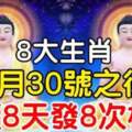 4月30號之後，連續8天發8次橫財的8大生肖