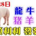 7月28日生肖運勢_龍、牛、蛇大吉