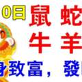 9月10日生肖運勢_鼠、蛇、龍大吉