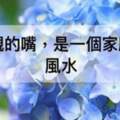 母親的嘴，決定一個家庭的「風水」