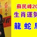 蘇民峰2021年12生肖運勢解析（龍蛇馬羊）