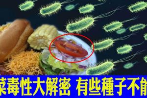 六種蔬果「含毒」部位解密，番茄、茄子這些部位不能吃，引發神經中毒恐休克
