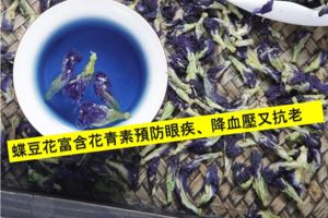 蝶豆（藍花）花茶：美容養顏，減脂抗發炎，功效強大！！！
