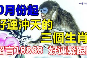 10月份起，好運沖天的三個生肖！留言18868好運緊跟隨！