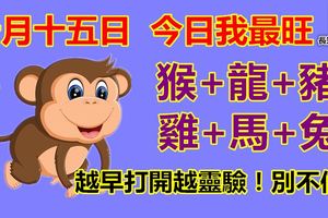 十月十五日，今日我最旺！猴+龍+豬+雞+馬+兔！越早打開越靈驗！別不信！