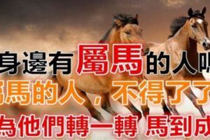 你身邊有屬馬的人嗎？屬馬的人不得了！請為他們轉一轉，馬到成功！