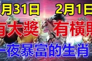 1月31日有大獎，2月1日有橫財！大運連連，財運爆棚的生肖！