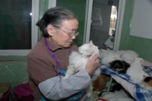 90多歲的她，最大的心願，是把價值千萬的院子留給貓……