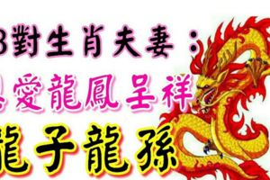 3對生肖夫妻：恩愛龍鳳呈祥，日子龍馬精神，生「龍子龍孫」！