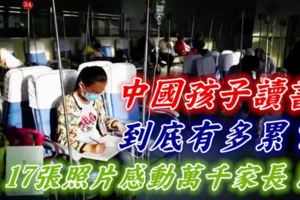 中國孩子讀書到底有多累？17張照片感動萬千家長！