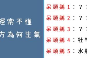 總是黑人問號！這些星座談戀愛就是「呆頭鵝」，永遠搞不懂對方為什麼「生氣」！