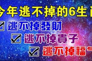 今年逃不掉發財、逃不掉貴子，逃不掉福氣的生肖