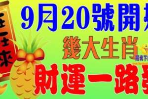 9月20號開始財運一路發的生肖