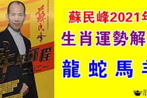 蘇民峰2021年12生肖運勢解析（龍蛇馬羊）