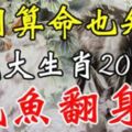 不用算命也知道，這幾大生肖2018年收入翻倍，鹹魚翻身！