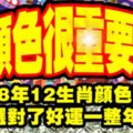 顏色很重要！2018年12生肖顏色喜忌，選對了好運一整年！