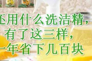 還用什麼洗潔精，有了這三樣，一年省下幾百塊